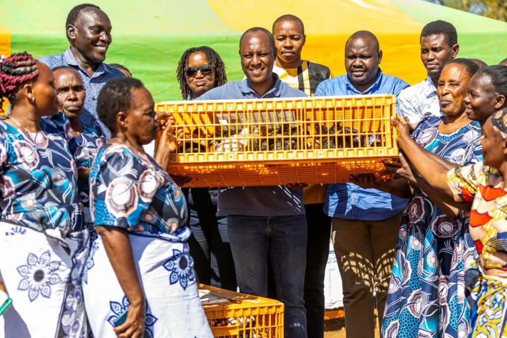 Livestock PS Jonathan Mueke Empowers Kitui Poultry Farmers with 1,600 Chicks