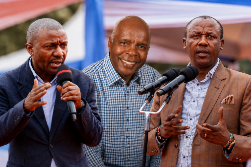 Kibwana Offers to Mediate as Maanzo-Mutula Row Deepens Ahead of 2027